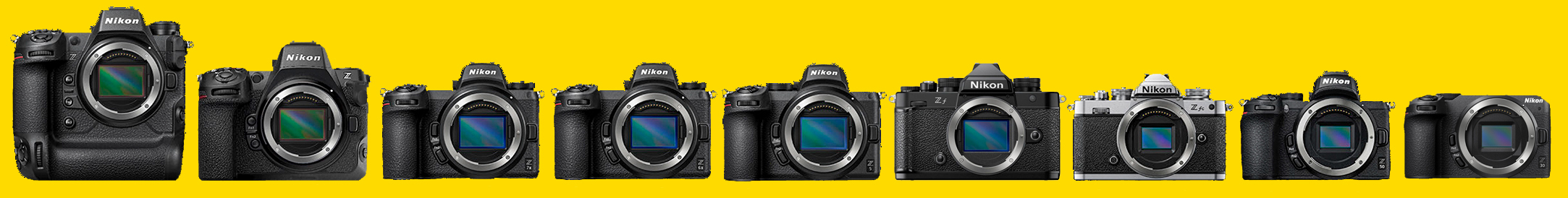Nikon Z8 rumors from China confirm what we think we know about the Z8 -  Nikon Rumors